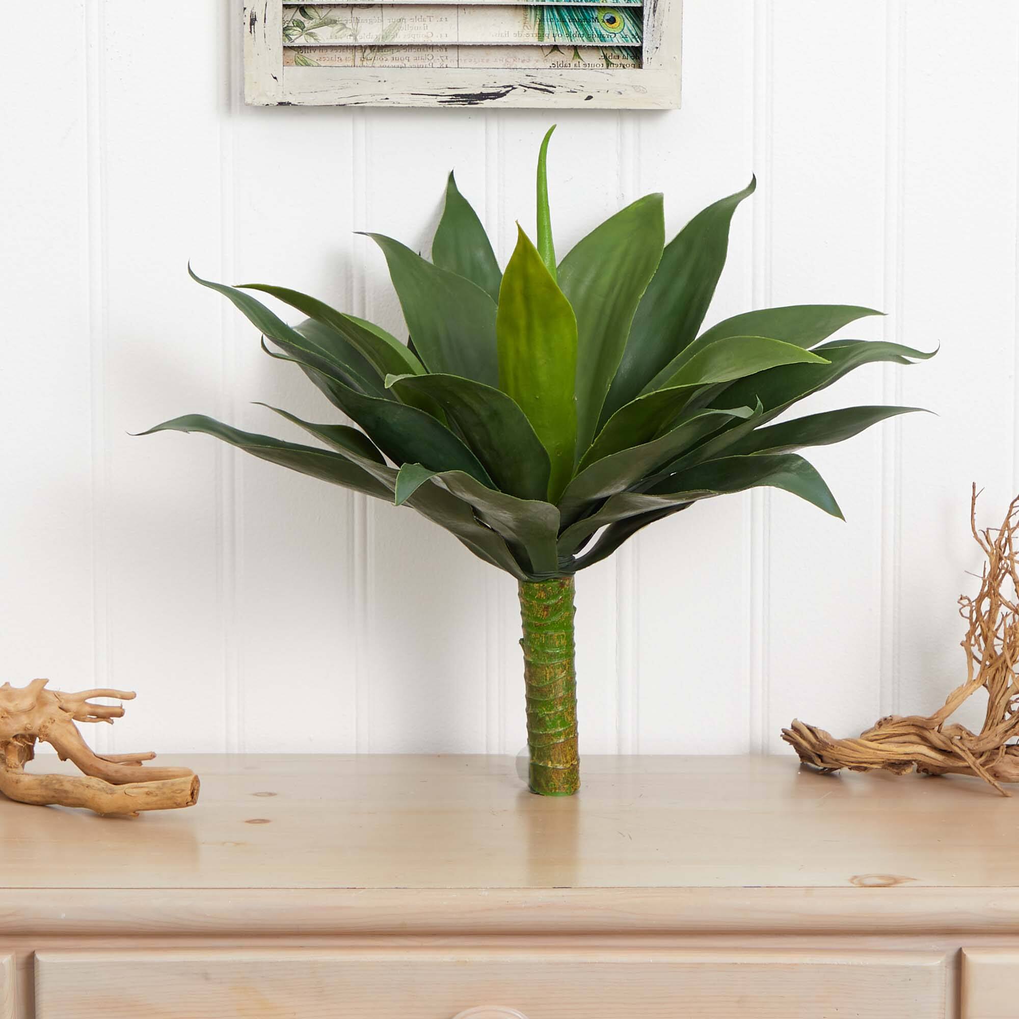 19" Agave Plant Set